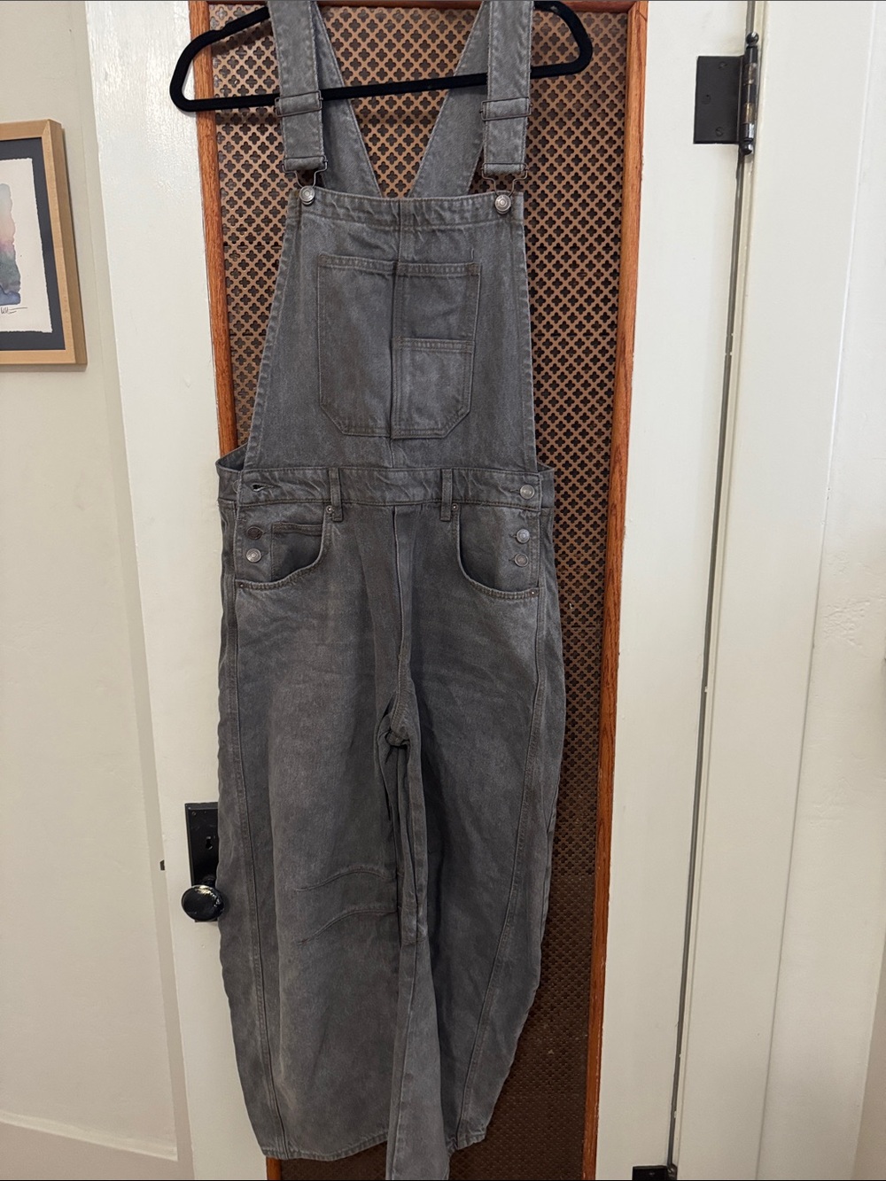 We The Free gray denim overalls